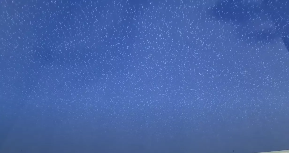 Пушкино, , фото 3