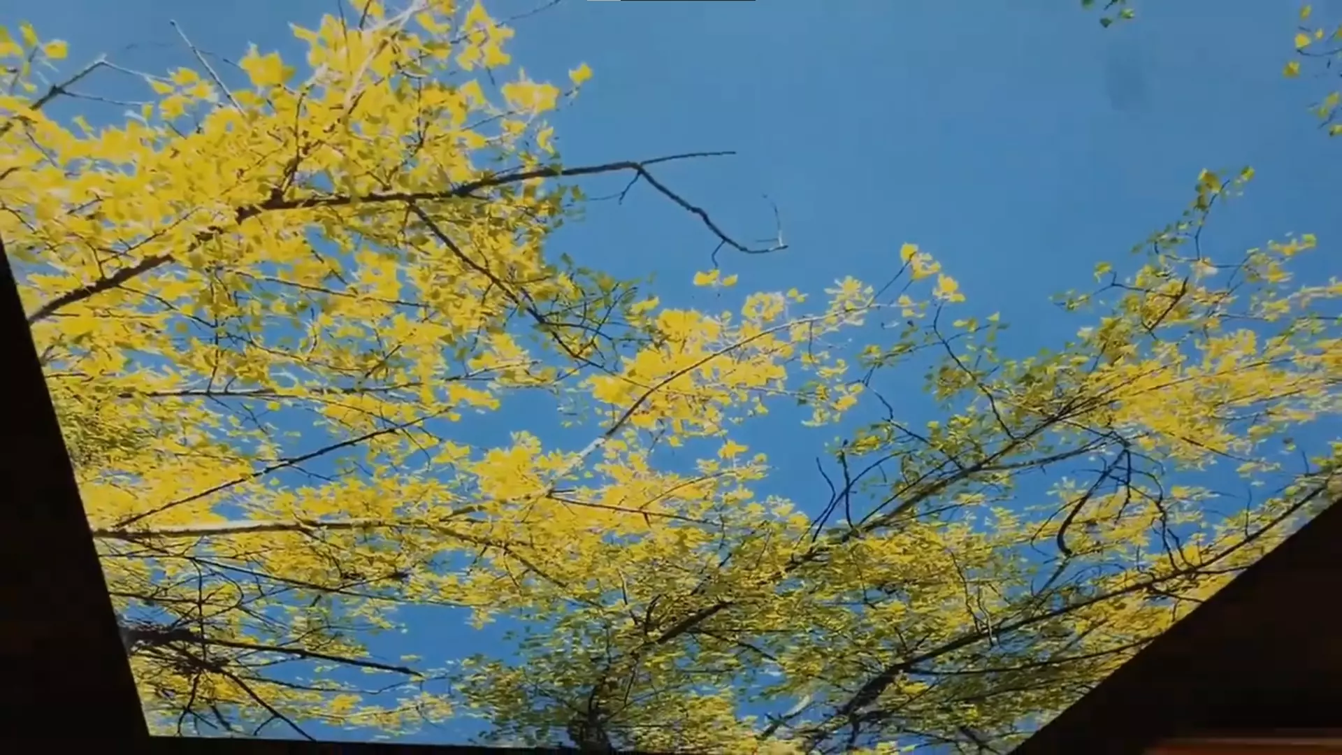 Нижний Новгород, Агрономическая, 132/35, фото 2